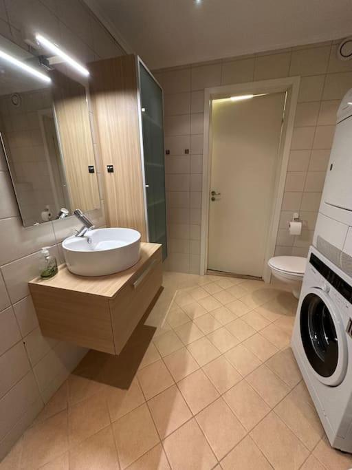 Hoiset Fin Leilighet I Rolig Omrade I Trondheim 아파트 외부 사진