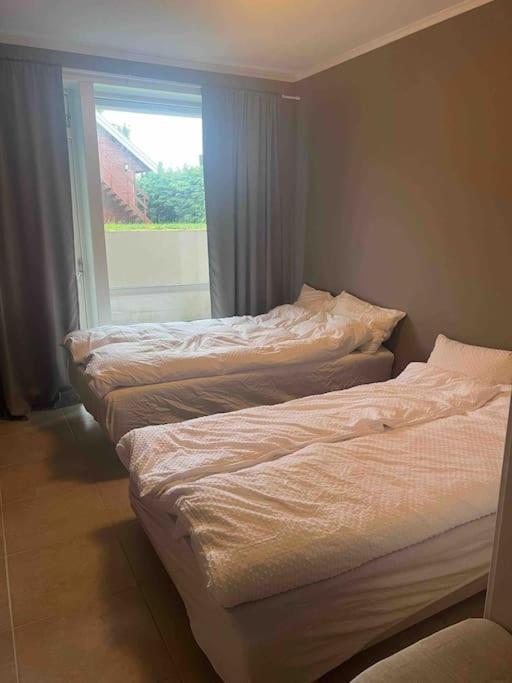 Hoiset Fin Leilighet I Rolig Omrade I Trondheim 아파트 외부 사진